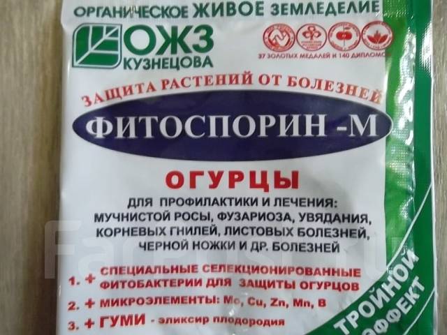 Полив фитоспорином под корень огурца