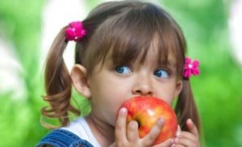 Райские яблочки фрукт. Райские яблони: популярные сорта и характеристика плодов 03