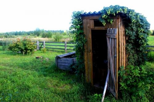 Удобрение из уборной. Странная мода дачников: опасно ли удобрение огорода фекалиями из деревенского туалета?