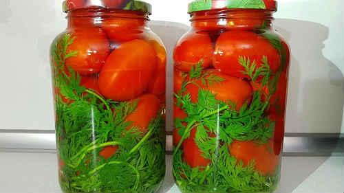 Помидоры с морковной ботвой на 3 литровую банку. Помидоры с морковной ботвой на зиму — самые вкусные рецепты