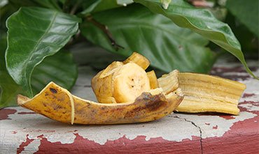 Удобрение банановой кожурой