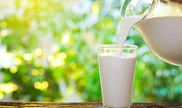 Удобрение растений молоком