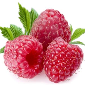 Does Raspberry Ketones really work?