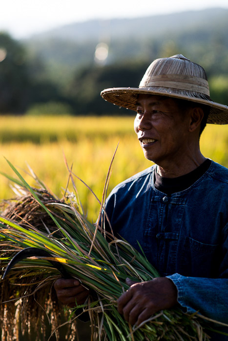 An overexposed portrait of a rice farmer at work - how to use backlight for portrait photography