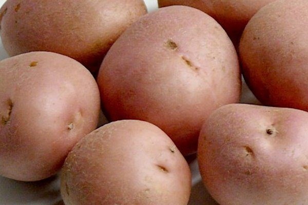 Схема выращивания картофеля в мешках