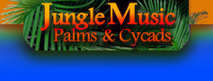 Jungle Music Palms and Cycads Nursery