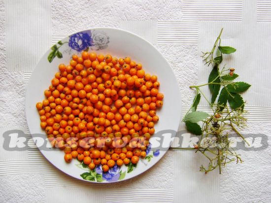 Плоды рябины перебрать