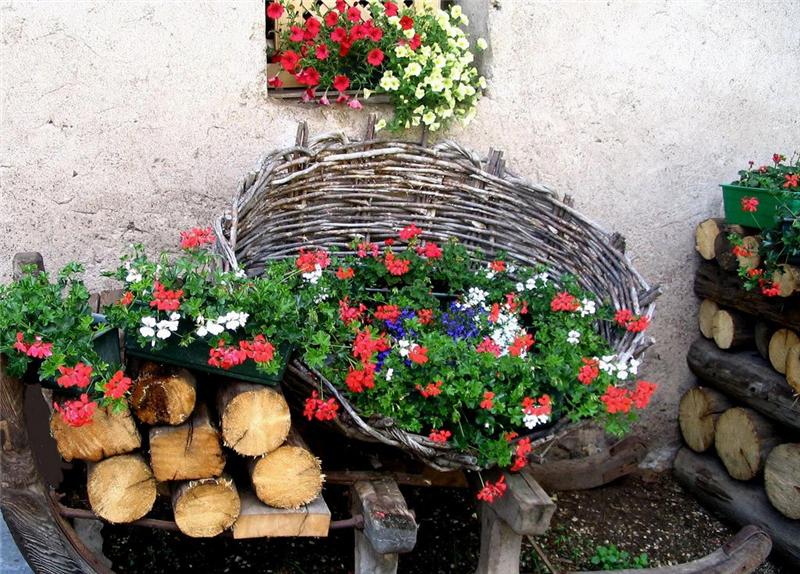 Как украсить двор частного дома цветами в горшках фото