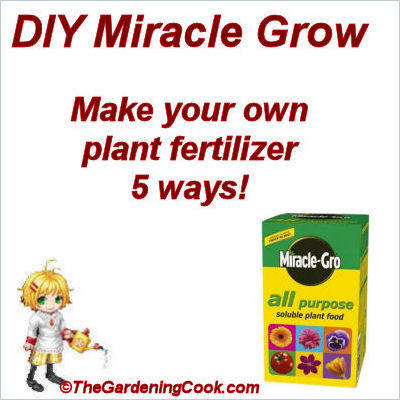 DIY Home made Miracle Grow Fertilizer