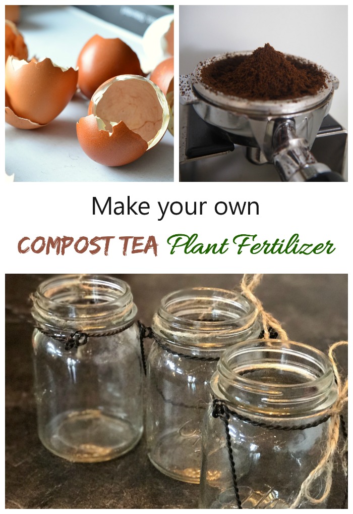 You can make compost tea with ground egg shells and coffee grounds mixed with water. It makes a great home made plant food.