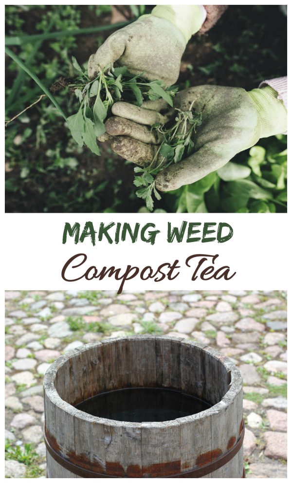 You can make your own home made plant food by making compost tea with weeds and rain water