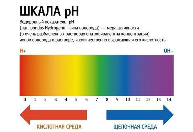 Что делать чтобы розы дольше стояли в вазе?