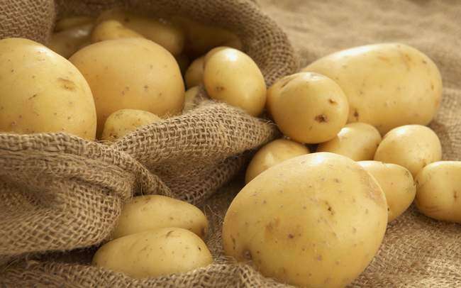 Выбираем метод выращивания картошки