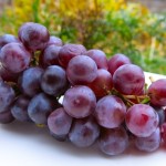 Classic Preparation of Concord Grapes for Recipes