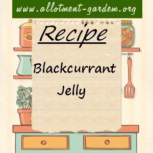 blackcurrant jelly