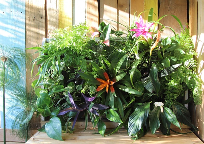 Build a stunning tropical living wall with pallet! 