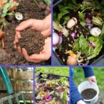 Organic Fertilizer Collage