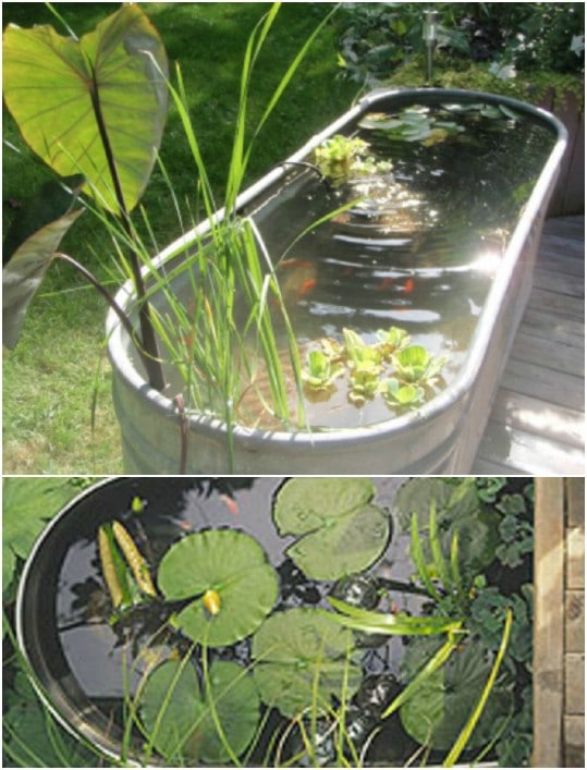 Galvanized Bathtub Mini Pond