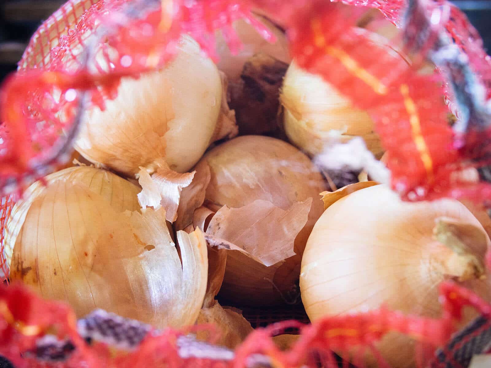 Homegrown onions stored in mesh nylon bag