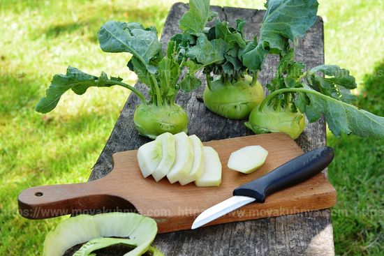 Как хранить капусту кольраби