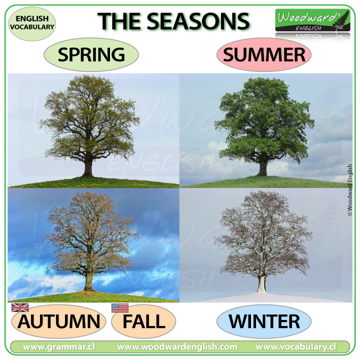 Seasons in English - winter, spring, summer, autumn - fall