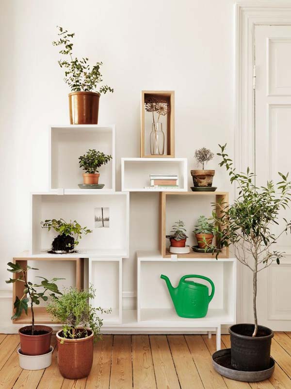 Mini-Indoor-Gardening-6